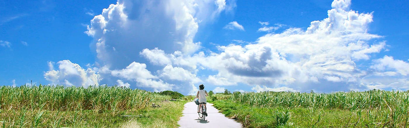 12ローズ株式会社(トゥエルヴ・ローズ)